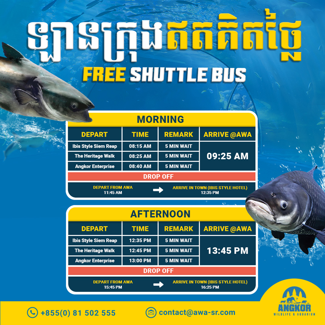Free shuttle bus!