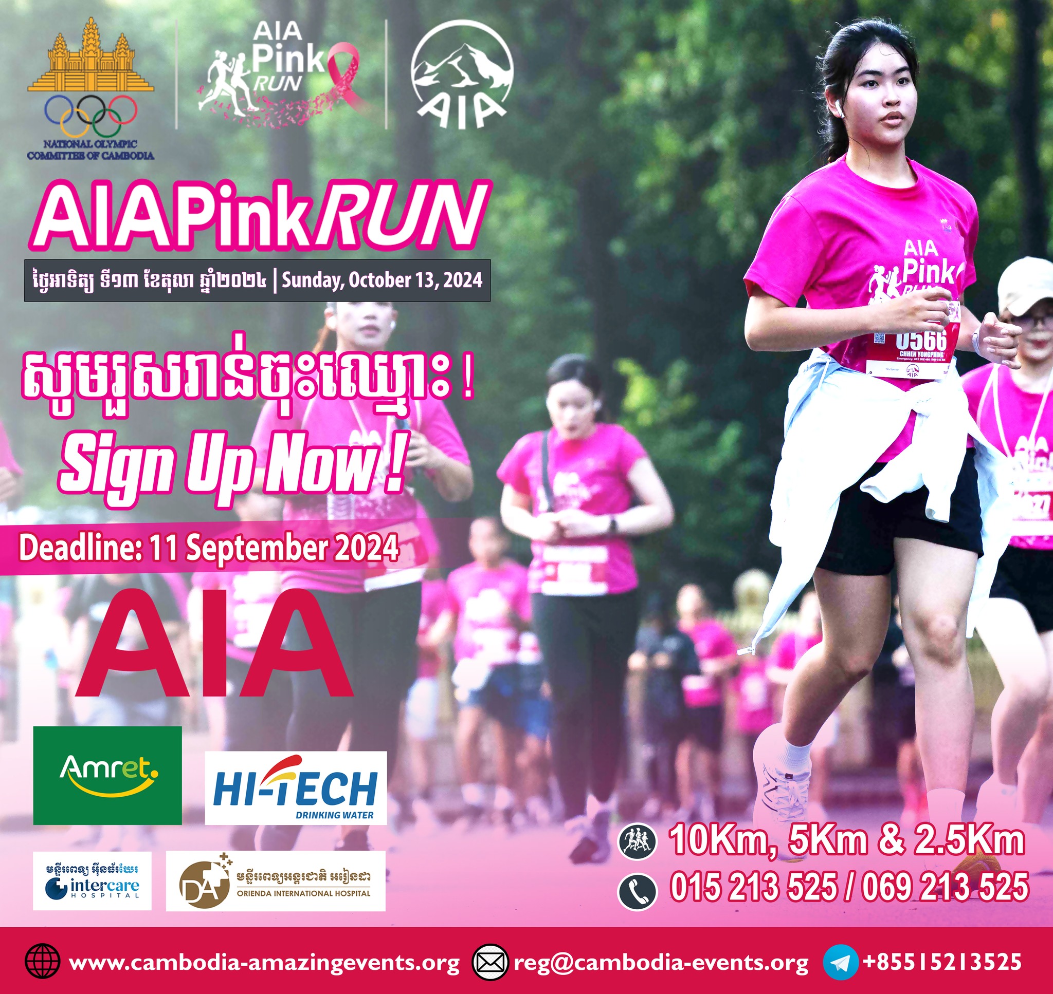 AIA Pink Run